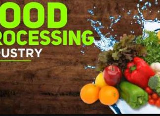 Food Processing Industry