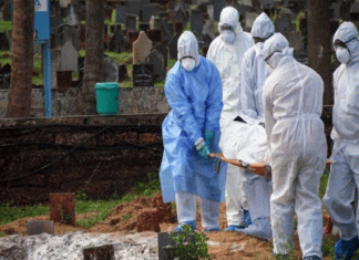 अमेरिका में कोविड-19 से अब तक 2.17 लाख से अधिक लोगों की मौत More than 1.50 lakh people died in Brazil from Corona