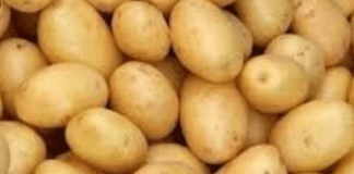One million tons of potatoes will be imported