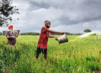 Farmers Schemes