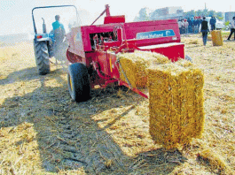 पराली का छग मॉडल बदलेगा किसानों की किस्मत Straw's Chg model will change the fortunes of farmers