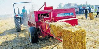 Straw's Chg model will change the fortunes of farmers
