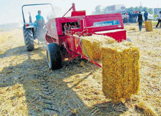 Straw's Chg model will change the fortunes of farmers