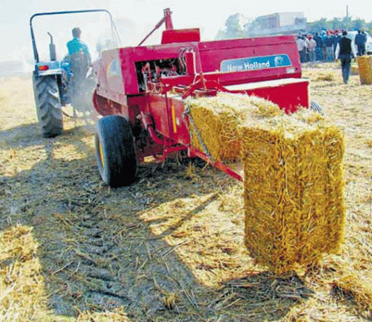 Straw's Chg model will change the fortunes of farmers