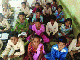 Survey will be conducted to connect school dropouts