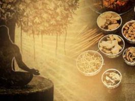 योग और आयुर्वेद को शामिल किया गया कोरोना उपचार में Yoga and Ayurveda