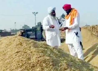 procurement-of-paddy