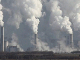 Environmental crisis practical planning necessary