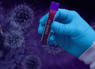 कोरोना: 10 दिन में दूसरी बार 20 हजार से कम मामले Haryana Corona