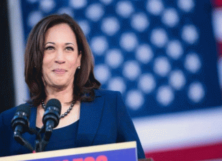 Kamala Harris thanks Americans for voting in record numbers