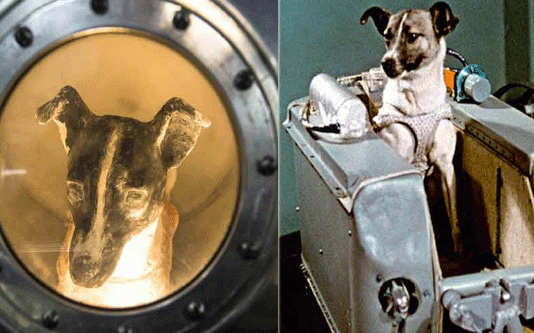 Laika to go into space