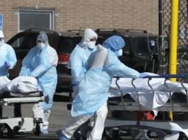 More than 2.42 lakh people killed since Covid-19 in US