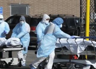 More than 2.42 lakh people killed since Covid-19 in US