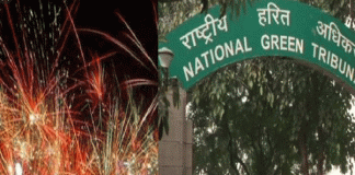 NGT bans burning of firecrackers in Delhi-NCR