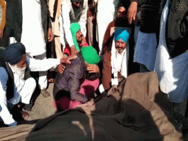 Punjab farmer killed in Truck collision near Mundhal