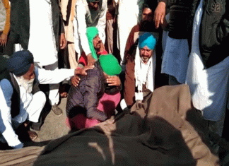 Punjab farmer killed in Truck collision near Mundhal