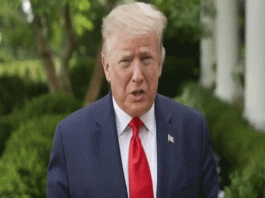 Trump does not lose but the environment has won