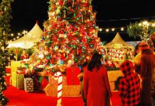 christmas celebration 