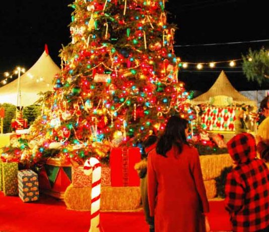 christmas celebration 