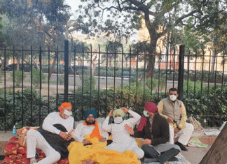Congress MPs continue to protest under open sky at Jantar Mantar