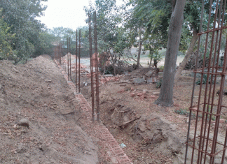 Skeletons were not of animals but of humans, revealed in investigation