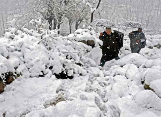 Snowfall-in-Srinagar