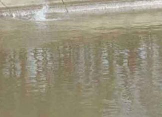 टैक्सी चालक का शव नहर में बरामद canal