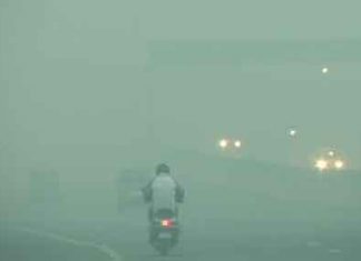 पंजाब-हरियाणा में शीत लहर Cold