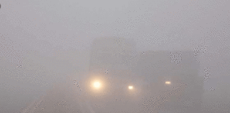 Delhi NCR in the thick fog sheet