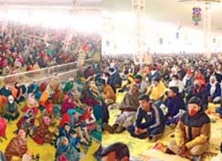 Dera-sacha-sauda