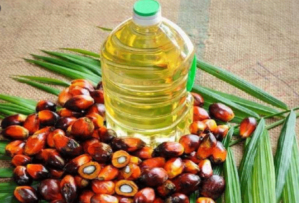 Effect of ban on palm oil imports is visible