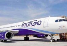 IndiGo News