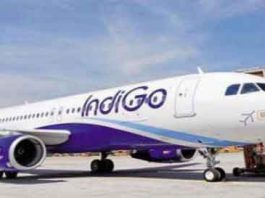 IndiGo News