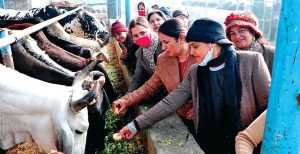 Welfare Work