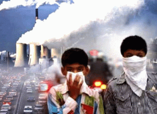 What should be the long-term solution to the pollution problem