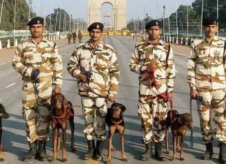 राजपथ की रखवाली करेगा आईटीबीपी का विशेष ‘डॉग स्क्वायड’ dog squad