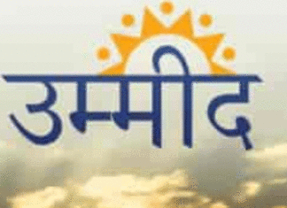 After 10th and 12th, in which field will the student go, Umeed Portal will help
