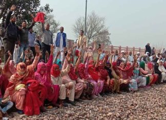 Farmers Movement
