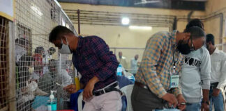 Gujarat Civic Election