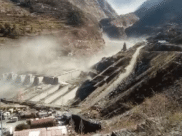 Life, Climate and Good Governance