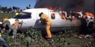 Plane Crashes in Mexico