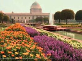 Mughal-Garden