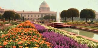 Mughal-Garden