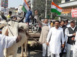 Political struggle on rising inflation and agricultural laws