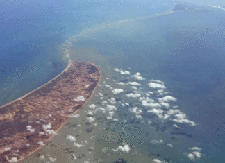 Ram Setu on the test of science