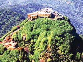 संजीवनी बूटी का विज्ञान Sanjeevani Herbs