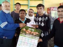 Welfare Work