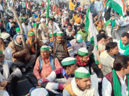 Agitated farmers will not celebrate Holi