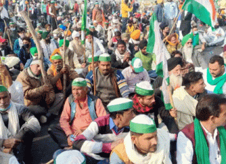 Agitated farmers will not celebrate Holi