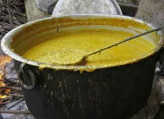 मिड-डे-मील में खिचड़ी खाने के बाद छात्रा की मौत